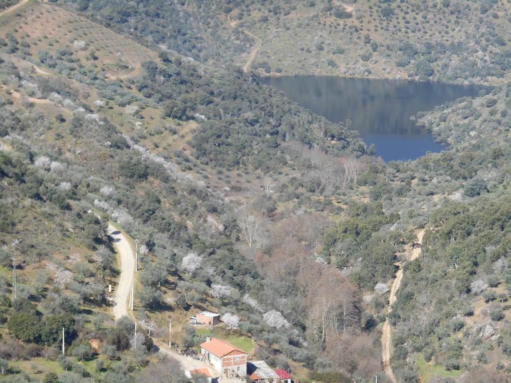 Casa Do Souto Villa Quinta do Souto Kültér fotó